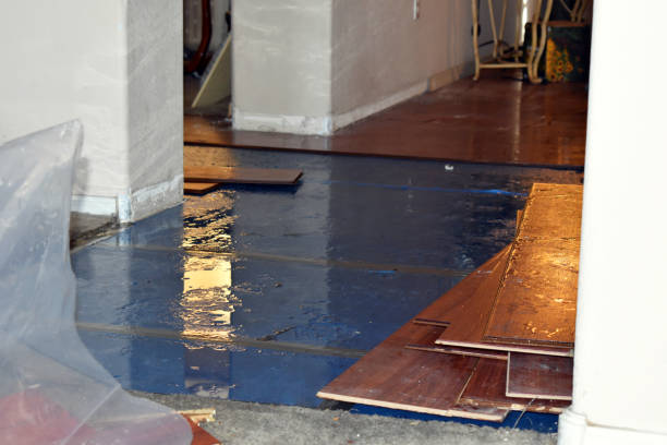 Professional Flood Cleanup technician working in Burlington, IA